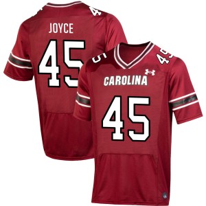 William Joyce Gamecocks #45 Player Mens College Football Jersey - Garnet 586355-594