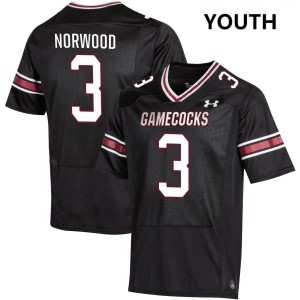 Myles Norwood South Carolina Gamecocks #3 College Football Alumni Youth Jerseys - Black 550542-165
