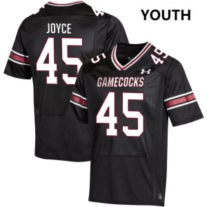 William Joyce University of South Carolina College Football #45 NCAA Youth Jerseys - Black 848270-556