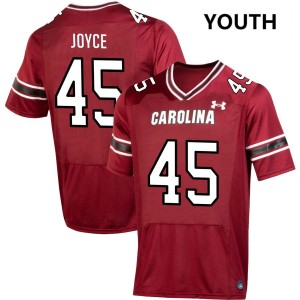 William Joyce Gamecocks Youth 2025 #45 College Football Jerseys - Garnet 454884-936