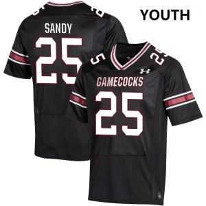 Zahbari Sandy South Carolina Gamecocks Youth #25 Replica College Football Jerseys - Black 329501-445